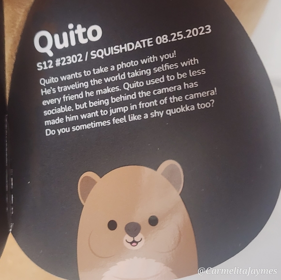 🖤 QUITO 🐻 Select Series Black Tag Quito Original Squishmallow ☆》NWT《☆ - Picture 4 of 10